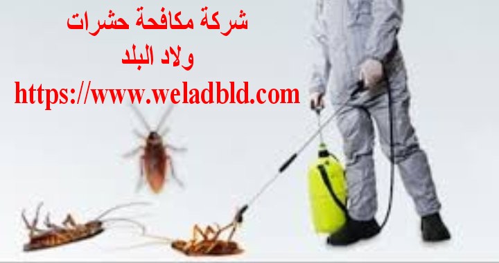 شركة مكافحة حشرات في دبي IMG_%D8%B4%D8%B1%D9%83%D8%A9-%D9%85%D9%83%D8%A7%D9%81%D8%AD%D8%A9